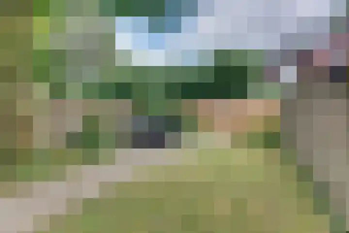 Veldkamp 46 Harderwijk thumbnail 36