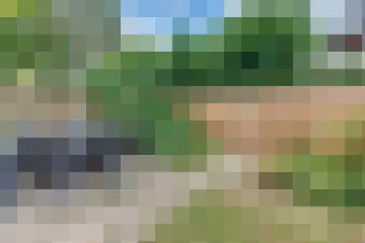 Veldkamp 46 Harderwijk thumbnail 37