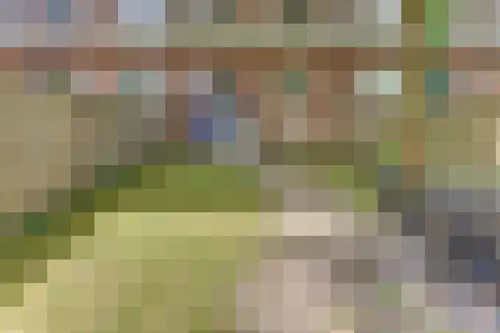 Veldkamp 46 Harderwijk thumbnail 38
