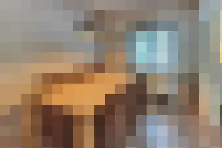 Veldkamp 46 Harderwijk thumbnail 9