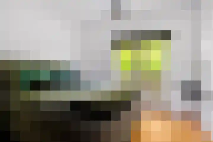 Veldkamp 48 Harderwijk thumbnail 12