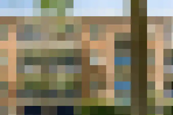 Veldkamp 48 Harderwijk thumbnail 22
