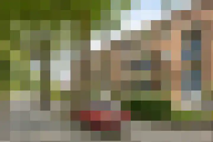 Veldkamp 48 Harderwijk thumbnail 25