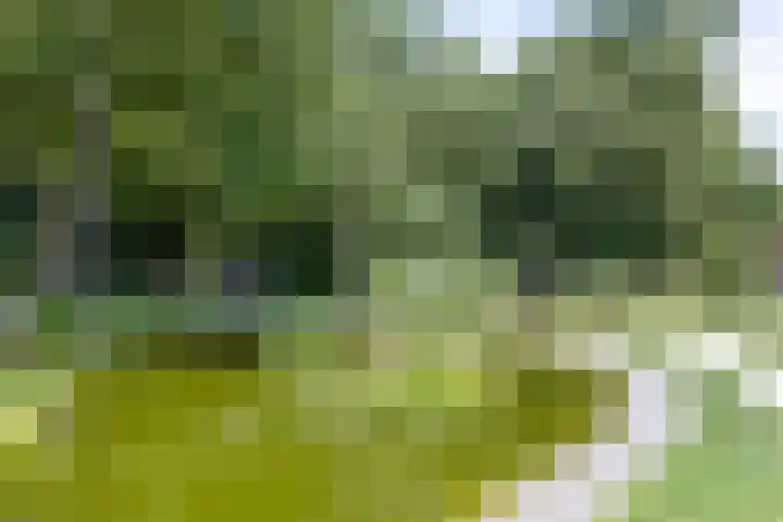 Veldkamp 48 Harderwijk thumbnail 27