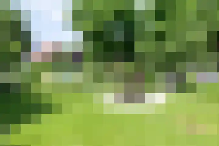 Veldkamp 48 Harderwijk thumbnail 28