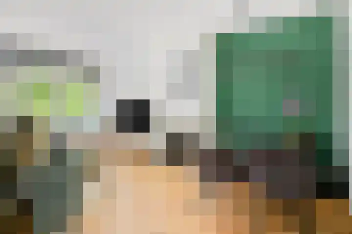 Veldkamp 48 Harderwijk thumbnail 4
