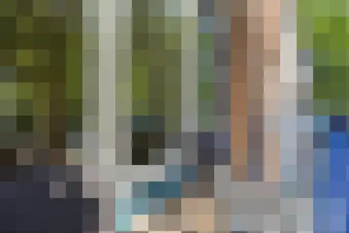 Veldkamp 48 Harderwijk thumbnail 8