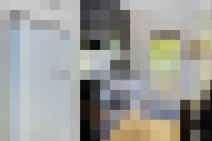 Veldkamp 48 Harderwijk thumbnail 9