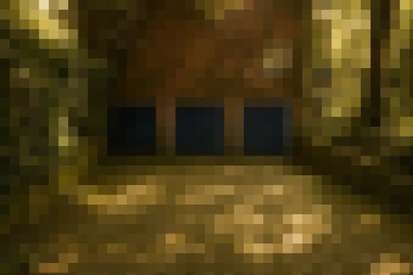 Veldkamp 70 Harderwijk thumbnail 4