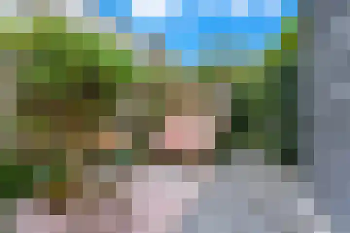 Veldkamp 72 Harderwijk thumbnail 20