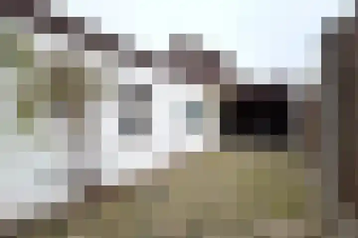 Veldkamp 72 Harderwijk thumbnail 23