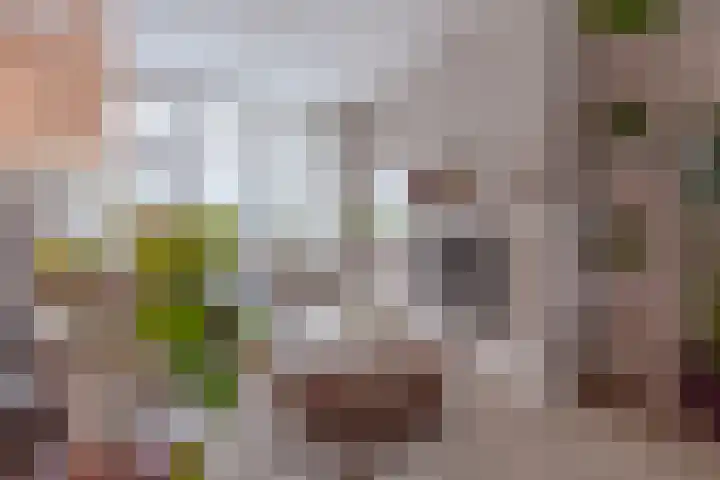 Veldkamp 72 Harderwijk thumbnail 5