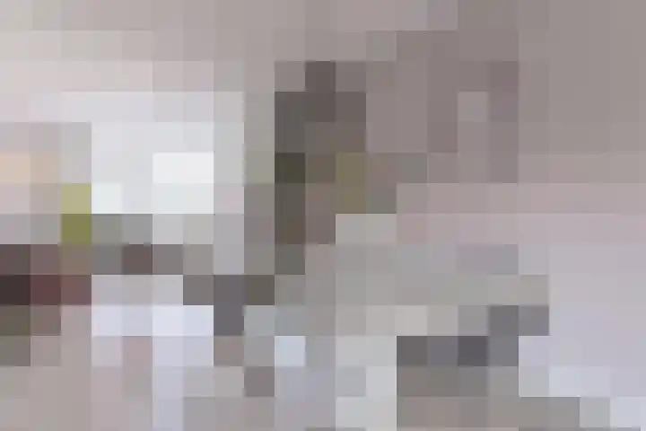 Veldkamp 72 Harderwijk thumbnail 8