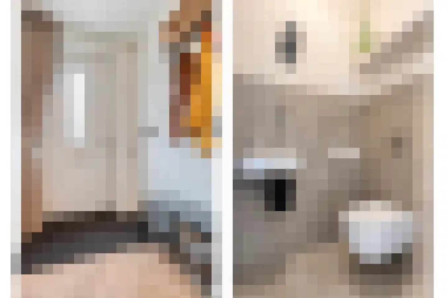 Veldkamp 9 Overdinkel thumbnail 10