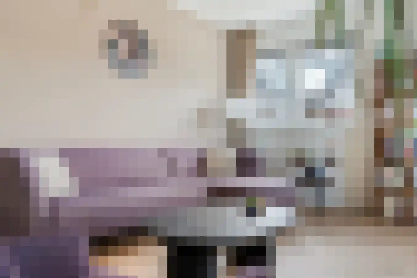 Veldkamp 9 Overdinkel thumbnail 12