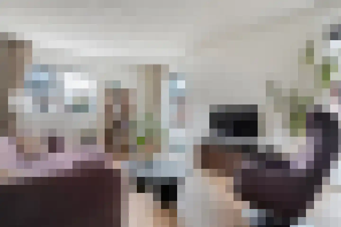 Veldkamp 9 Overdinkel thumbnail 13