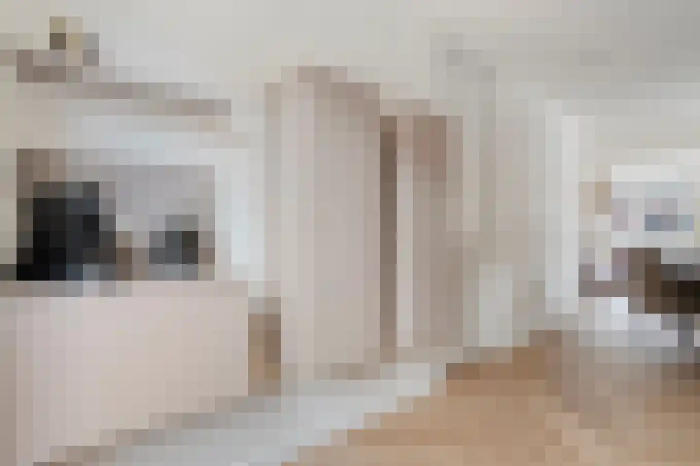 Veldkamp 9 Overdinkel thumbnail 18