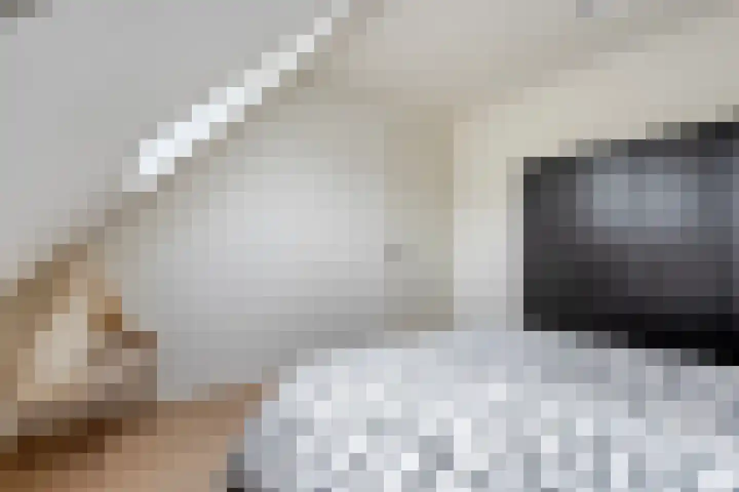 Veldkamp 9 Overdinkel thumbnail 30