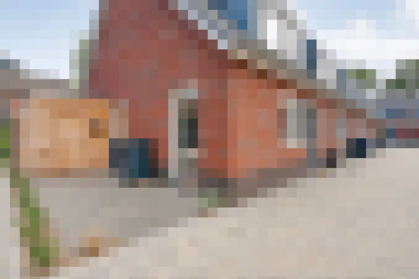 Veldkamp 9 Overdinkel thumbnail 8