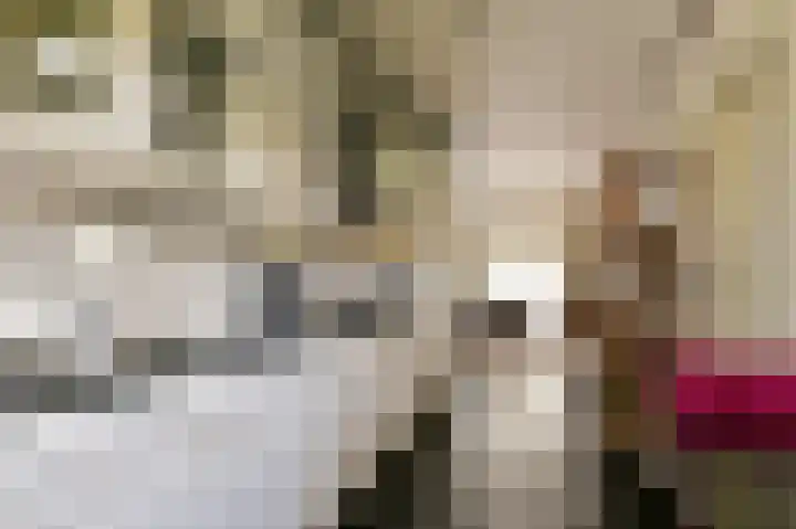 Veldkampen 6 Oosterhesselen thumbnail 11