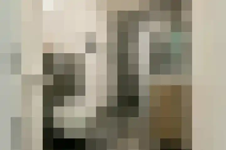 Veldkampen 6 Oosterhesselen thumbnail 16