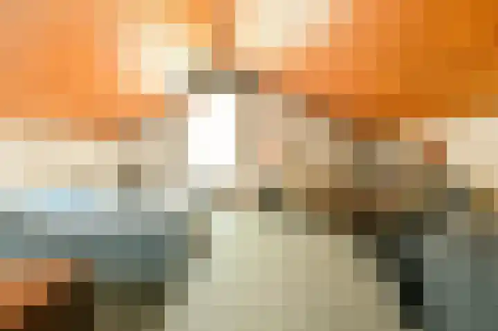 Veldkampen 6 Oosterhesselen thumbnail 20