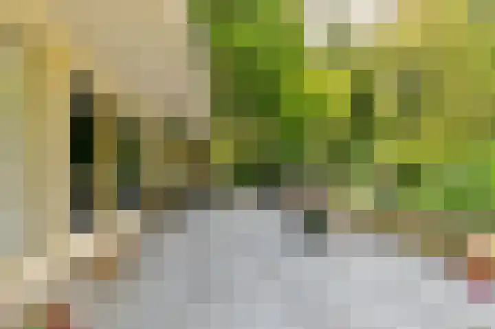 Veldkampen 6 Oosterhesselen thumbnail 23