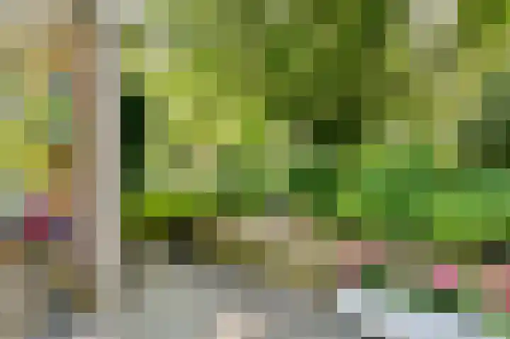 Veldkampen 6 Oosterhesselen thumbnail 24