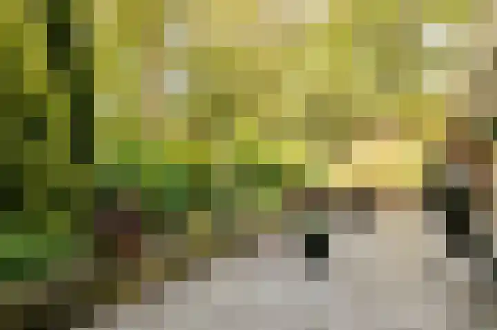 Veldkampen 6 Oosterhesselen thumbnail 25