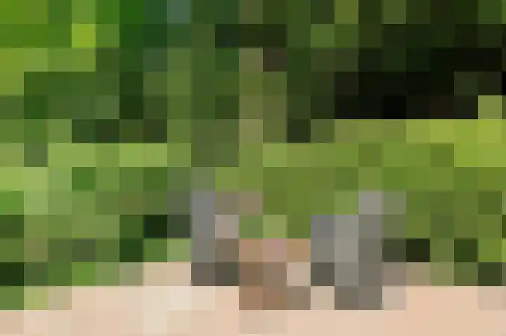 Veldkampen 6 Oosterhesselen thumbnail 26
