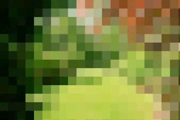 Veldkampen 6 Oosterhesselen thumbnail 27