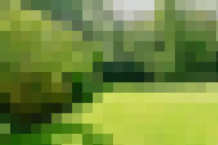 Veldkampen 6 Oosterhesselen thumbnail 28