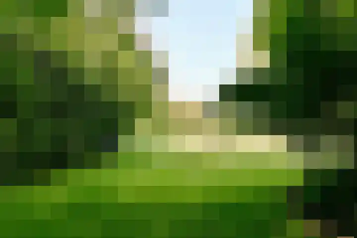 Veldkampen 6 Oosterhesselen thumbnail 29