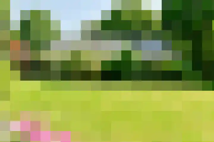 Veldkampen 6 Oosterhesselen thumbnail 30
