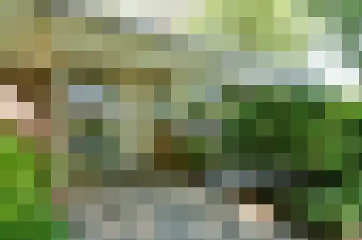 Veldkampen 6 Oosterhesselen thumbnail 32