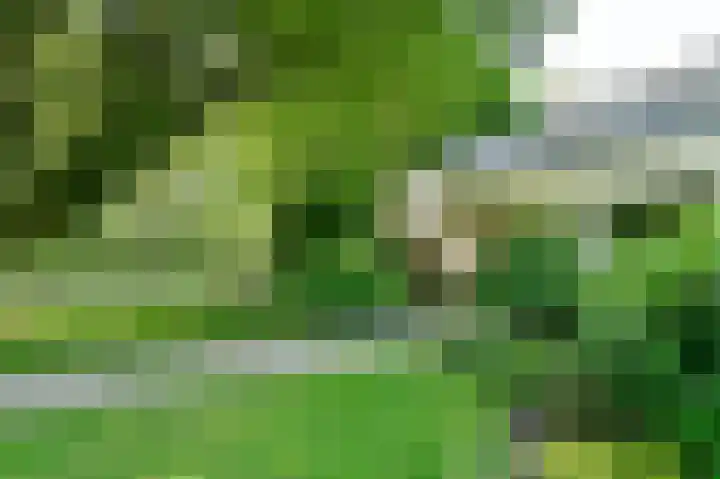 Veldkampen 6 Oosterhesselen thumbnail 33