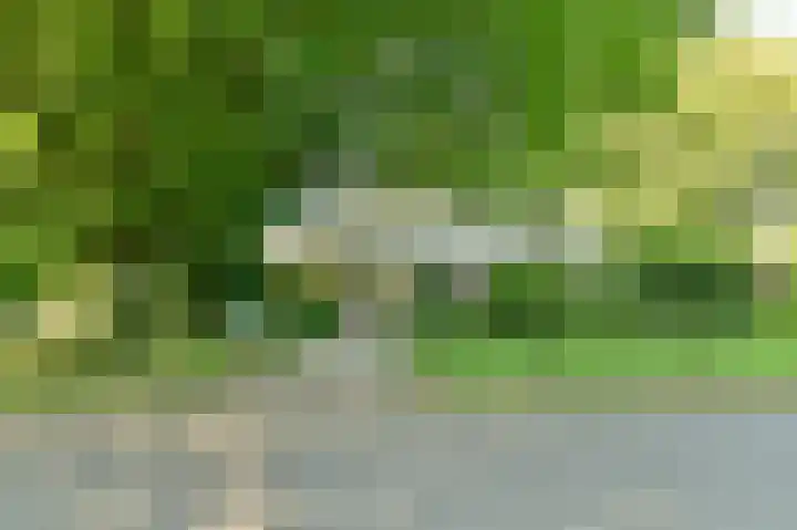 Veldkampen 6 Oosterhesselen thumbnail 34