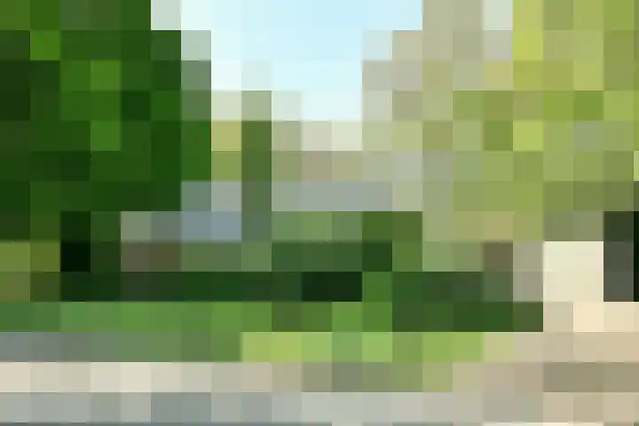 Veldkampen 6 Oosterhesselen thumbnail 35