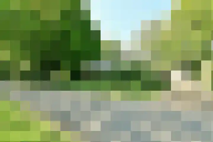 Veldkampen 6 Oosterhesselen thumbnail 36
