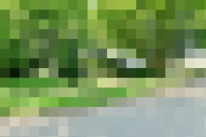 Veldkampen 6 Oosterhesselen thumbnail 37