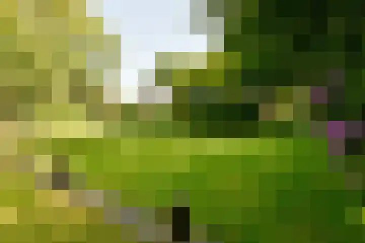 Veldkampen 6 Oosterhesselen thumbnail 38