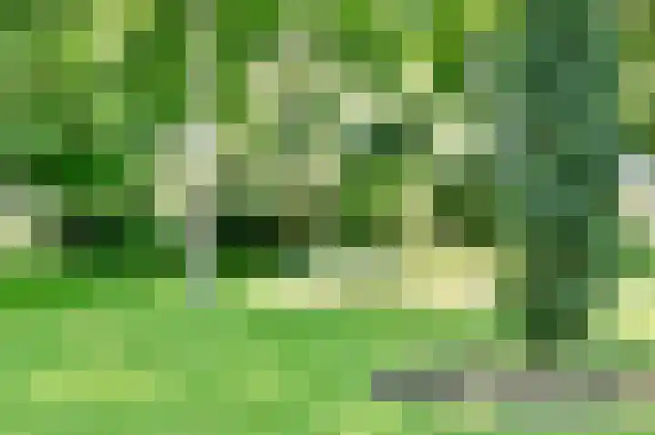 Veldkampen 6 Oosterhesselen thumbnail 39