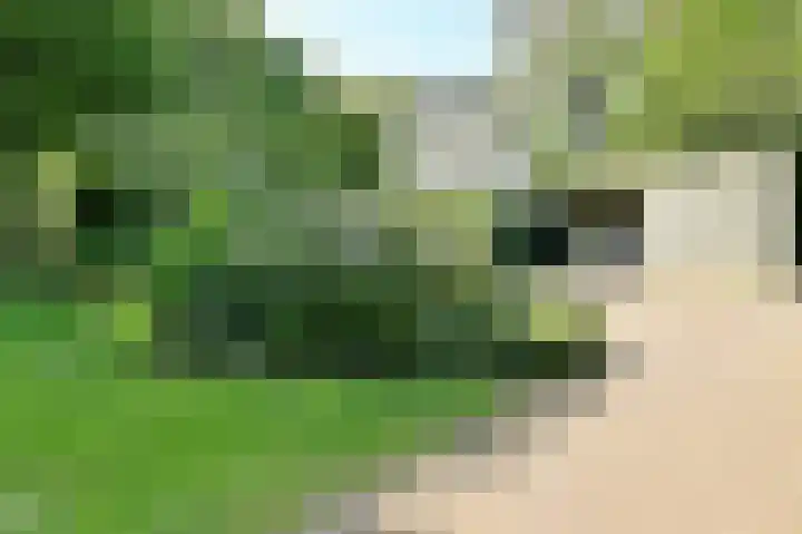 Veldkampen 6 Oosterhesselen thumbnail 44