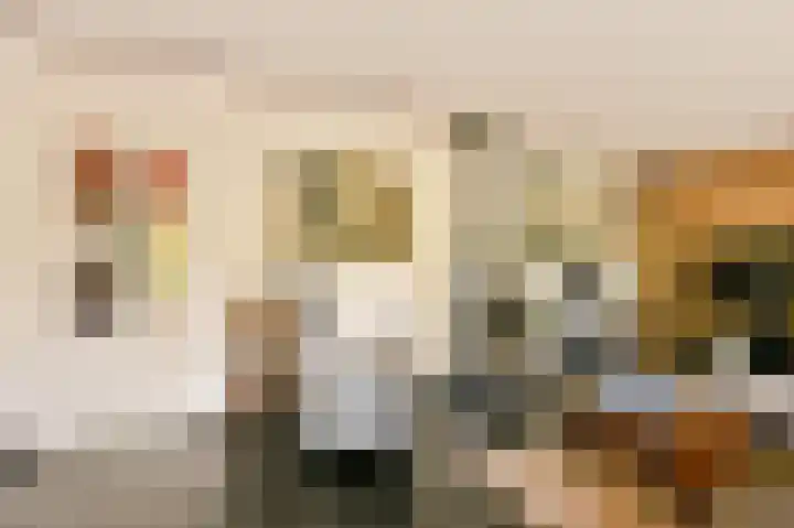 Veldkampen 6 Oosterhesselen thumbnail 6