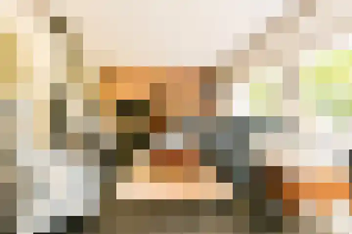 Veldkampen 6 Oosterhesselen thumbnail 7