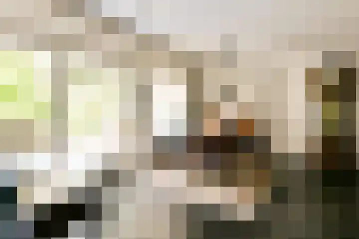 Veldkampen 6 Oosterhesselen thumbnail 8
