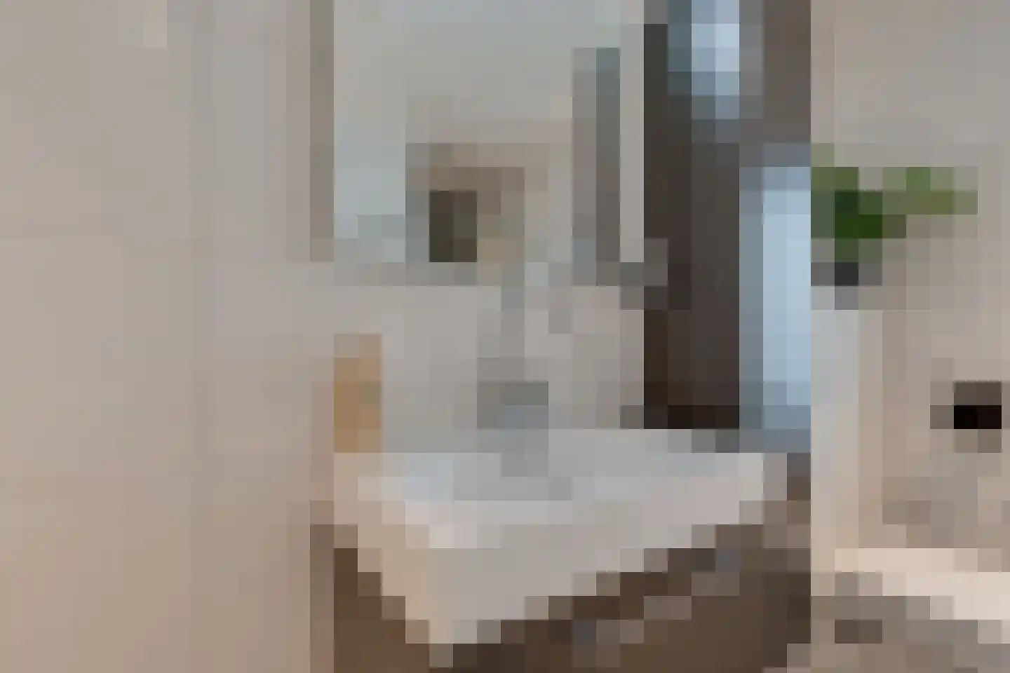 Veldkamperstraat 1 Westendorp thumbnail 38