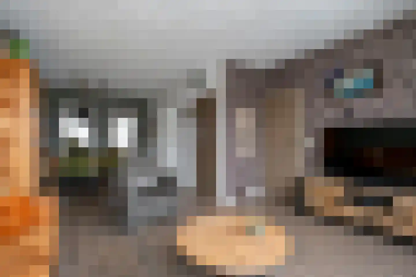 Veldkampstraat 3 Hollandscheveld thumbnail 4