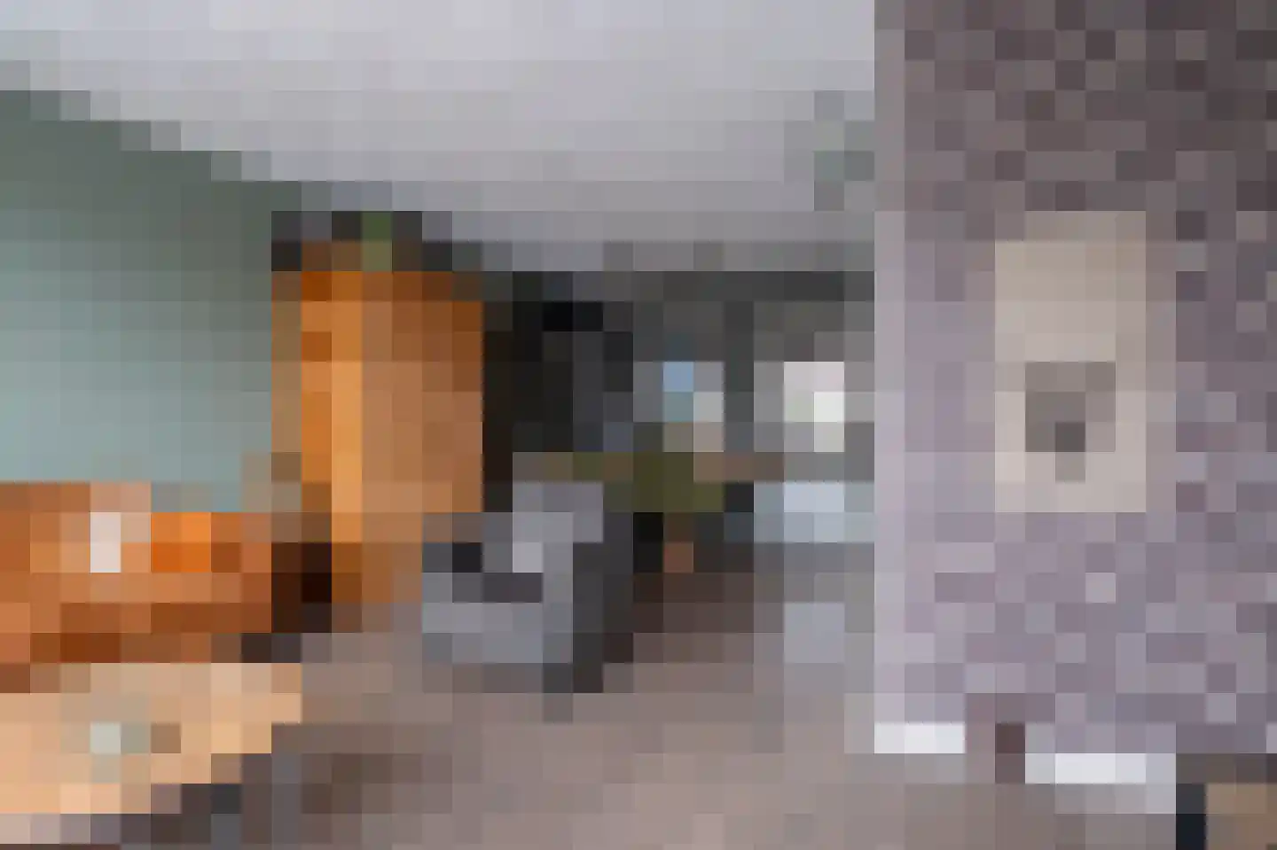 Veldkampstraat 3 Hollandscheveld thumbnail 5