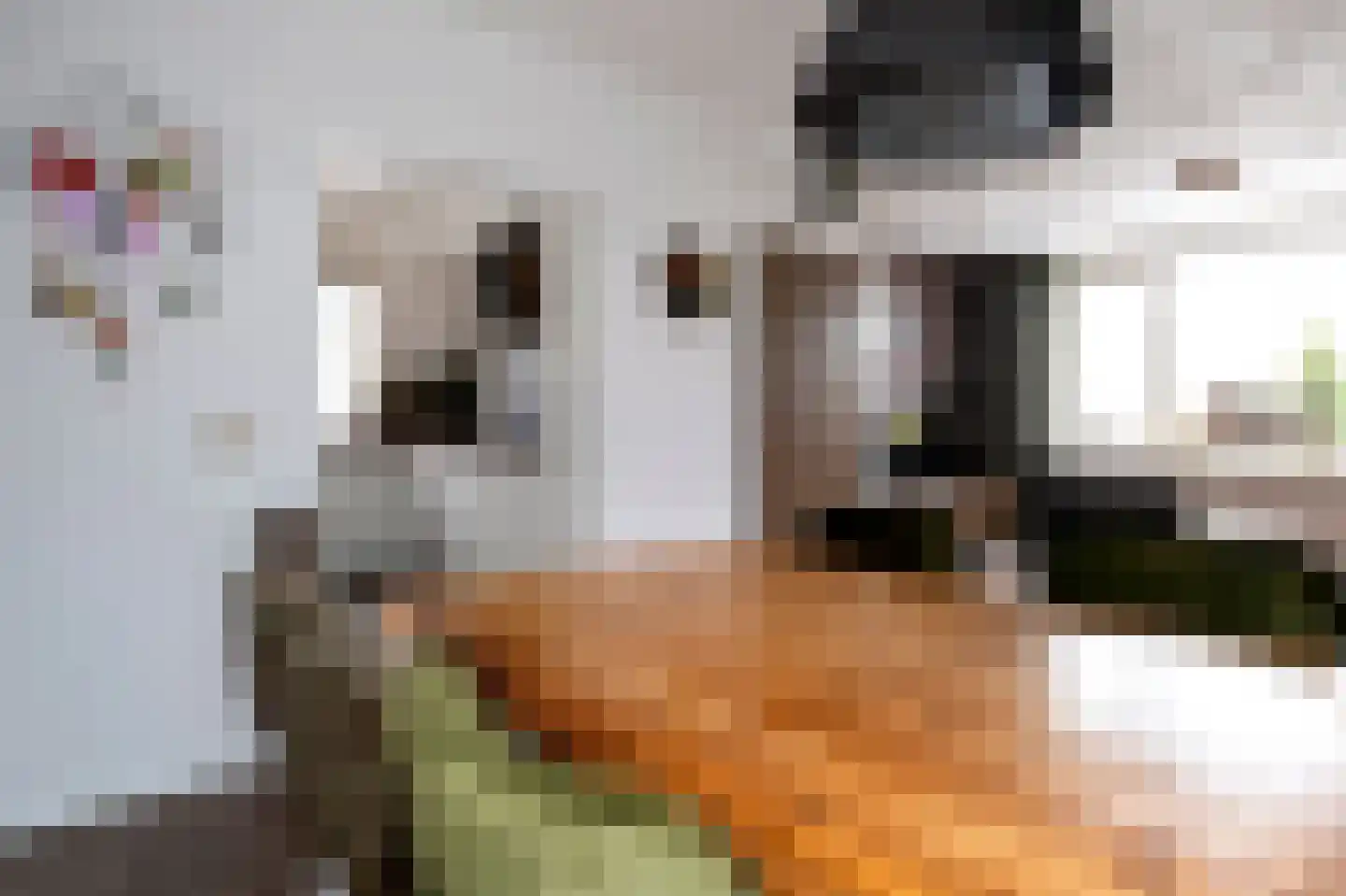 Veldkampstraat 3 Hollandscheveld thumbnail 7